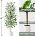 Bailikang 8FT Artificial Ficus Trees Indoor Faux Trees Indoor Fake Floor Plants Tall Artificial Tree with White Pot Faux Tree Fake Indoor Tree Silk Plants Artificial Trees for Home Decor Indoor