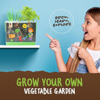 Dan&Darci Root Viewer Kit for Kids - Grow Your Own Plant for Boys & Girls Gifts - Science STEM Toy & Craft Growing Kits for Ages 4-8 Birthday Gifts for Boy, Girl 4, 5, 6, 7, 8, Year Old