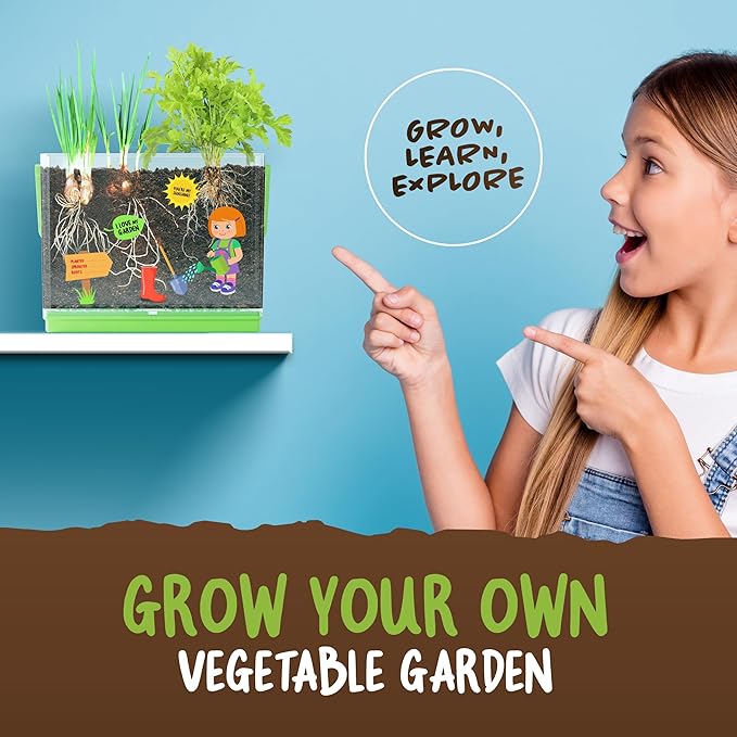 Dan&Darci Root Viewer Kit for Kids - Grow Your Own Plant for Boys & Girls Gifts - Science STEM Toy & Craft Growing Kits for Ages 4-8 Birthday Gifts for Boy, Girl 4, 5, 6, 7, 8, Year Old