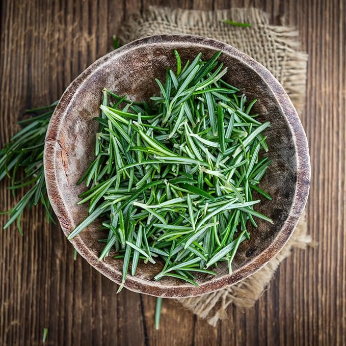 Live Rosemary Plants in 4'' Pot, Fragrant Upright Rosemary Starter 4-8 Inches, Hardy Outdoor Plant for Garden, Patio and Containers