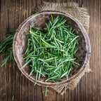 Live Rosemary Plants in 4'' Pot, Fragrant Upright Rosemary Starter 4-8 Inches, Hardy Outdoor Plant for Garden, Patio and Containers