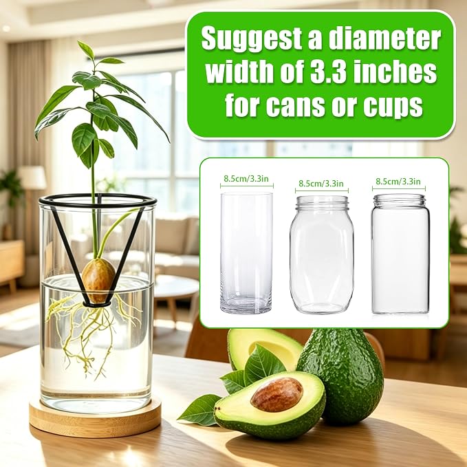 Bylion 2 Pcs Avocado Tree Growing Kits - Avocado Seed Starter Vase Rack - Seed Holders Metal Bracket for Home Office, Gardening Lovers Gift, Black (Without Jar)