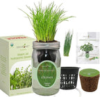 Hydroponic Herb Growing Kit, Self-Watering Mason Jar Herb Garden Starter Kit Indoor, Grow Your Own Herbs from Organic Seeds (Chives)
