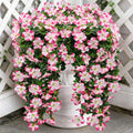 Artificial Geranium Hanging Flowers for Outdoor Decoration, 2 Bundles UV Resistant Silk Geranium Fake Plants Faux Flowers for Front Porch Garden Patio Window Box Outside Indoor Decor (Pink)
