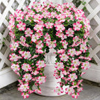 Artificial Geranium Hanging Flowers for Outdoor Decoration, 2 Bundles UV Resistant Silk Geranium Fake Plants Faux Flowers for Front Porch Garden Patio Window Box Outside Indoor Decor (Pink)