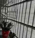 Shade Cloth for Plants Outdoor Pergola Shade Cover Multifunctional Rectangular Shade Sail, Mesh Breathable Shade for Greenhouses, Courtyards and Flowers Plants,black-6x6m