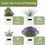 PERFNIQUE Indoor Herb Garden, Herb Planter Set with Tray, Farmhouse Indoor Plant Pots, Windowsill Herb Garden with Drainage(Planter only) for Indoor/Outdoor, Window Pots(White)