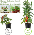 Legigo 6 Pack 24 Inch Plant Support Cages Tomato Cage for Garden- Plant Cages Adjustable Rings, Tomato Plant Support Stakes Trellis for Pots, Peppers, Cucumbers and Flowers with 10 Plant Clips