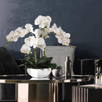 Larksilk 20" White Phalaenopsis Orchid Flowers in 8" Round White Pot | Realistic Faux Orchid | Elegant Indoor Decor for Home & Office