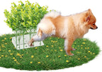 6 PCS Fake Grass Plants Pee Post for Dogs to Pee on, Reusable Puppy Pee Post Training Tool Washable Artificial Eucalyptus Grass for Guiding and Trains Dogs to Urinate, Outdoor Dog Toilet
