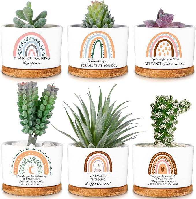 Sieral 6 Pcs Thank You Employee Appreciation Gift Succulent Pots Social Worker Gift Ceramic Plant Pot with Bamboo Tray Succulent Planter for Coworker Teacher, Plants Excluded (Boho Style)