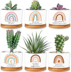 Sieral 6 Pcs Thank You Employee Appreciation Gift Succulent Pots Social Worker Gift Ceramic Plant Pot with Bamboo Tray Succulent Planter for Coworker Teacher, Plants Excluded (Boho Style)