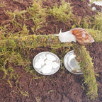 Snail Terrarium Accessory Kit 7PCS, Includes Moisture-Retaining Substrate, Climbing Toy, Cuttlebone Granules, Water and Food Plate, Spray Bottle