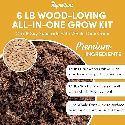 Mycelium All-in-One Mushroom Grow Bag – 6lb Sterilized Substrate with Oak, Soy Hull & Whole Oats Grain | Ready-to-Inoculate Grow Kit with Injection Port | Grow Lion’s Mane, Shiitake & Oyster Mushrooms