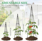 FOLLOOK Garden Trellis for Climbing Plants Outdoor, 67" Tall Cucumber Trellis Tomato Plant Support for Climbing Vine, for Raised Bed, Black, 1 Pack