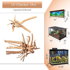 majoywoo Natural Large Driftwood for Aquarium Decor Reptile Decor, Assorted Spider Wood Branch 13-17" Long, Fish Tank Decoration