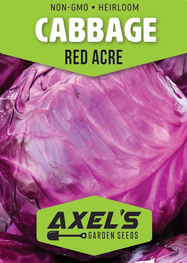 Cabbage Seeds for Planting - Plant & Grow Red Acre Cabbage in Your Home Outdoor Vegetable Garden - Heirloom Non GMO Planting Packets with Full Instructions - Great Gardening Gift - 1 Packet