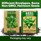 HOME GROWN Non GMO Genovese Basil Seeds Pack 1,750+ High Germination Heirloom Seeds (Ocimum basilicum) Herb Seeds for Planting Indoor & Outdoor Gardening, for Culinary Use
