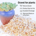 CJGQ 18lb Aquarium Gravel for Plants,1/5 Inch Natural Decorative River Rocks for Succulent and Cactus Landscaping, Natural Small Rocks for Fish Tanks, Vases & Terrariums