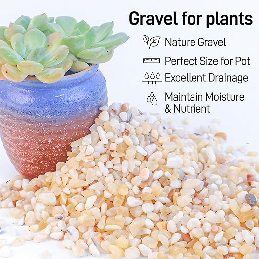CJGQ 7lb Aquarium Gravel for Plants,1/5 Inch Natural Decorative River Rocks for Succulent and Cactus Landscaping, Natural Small Rocks for Fish Tanks, Vases & Terrariums