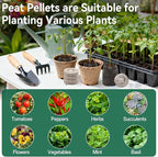 Halatool 200 Pcs 30mm Peat Pellets Block Potting Soil for Seedlings, Compressed Garden Soil Seed Starter Nutrient Peat Pods for Starting Seeds, Planting Flowers, Vegetables, Herbs