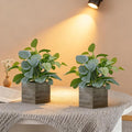 2 Pack 12" Medium Eucalyptus Fake Plants, Artificial Plants Indoor with 4 Inch Wooden Planters, Faux Potted Silk Plants for Home Decor, Desk, Shelves, Desktop, Coffee Table, Bedroom