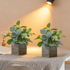 2 Pack 12" Medium Eucalyptus Fake Plants, Artificial Plants Indoor with 4 Inch Wooden Planters, Faux Potted Silk Plants for Home Decor, Desk, Shelves, Desktop, Coffee Table, Bedroom