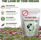 Earthwise No Deer Here Wildflower Seed Mix – Deer-Resistant Seeds, Easy Grow, Colorful Blooms, Drought Tolerant, Pollinator Friendly, Pet Safe, Organic, Chemical-Free – Covers Up to 750 sq ft, 1/2 lb