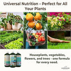 Organic Liquid Plant Food for Indoor Houseplants – All Purpose Fertilizer for Potted Plants, Vegetables, Succulents, Orchids, Roses – Miracle Growth with Mycorrhizae (16 oz)