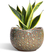8 Inch Plant Pot - Ceramic Planter for Indoor Outdoor Plants, Unique Pots for Plants with Drainage Hole and Plug, Round Planter, Garden Decor, Gifts for Plant Lovers, Speckled-Brown
