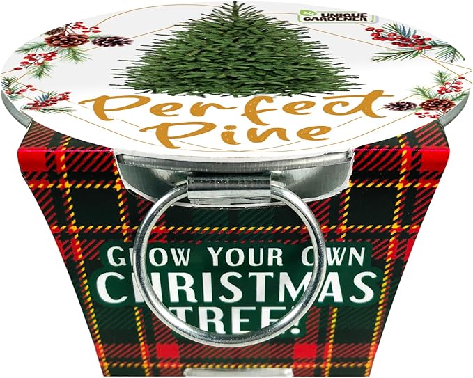 Unique Gardener Grow Your Own Christmas Tree Plant Seeds 3-Pack, DIY Indoor Succulents and Live Plants for Home or Garden Planting, Perfect Pine