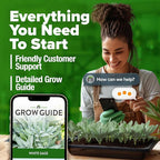 HOME GROWN White Sage Seeds 646 Pack Heirloom Seeds - Grow Aromatic Sage Plants for Your Herb Seeds Garden with Sage for Planting Outdoor or Indoor (Salvia apiana)