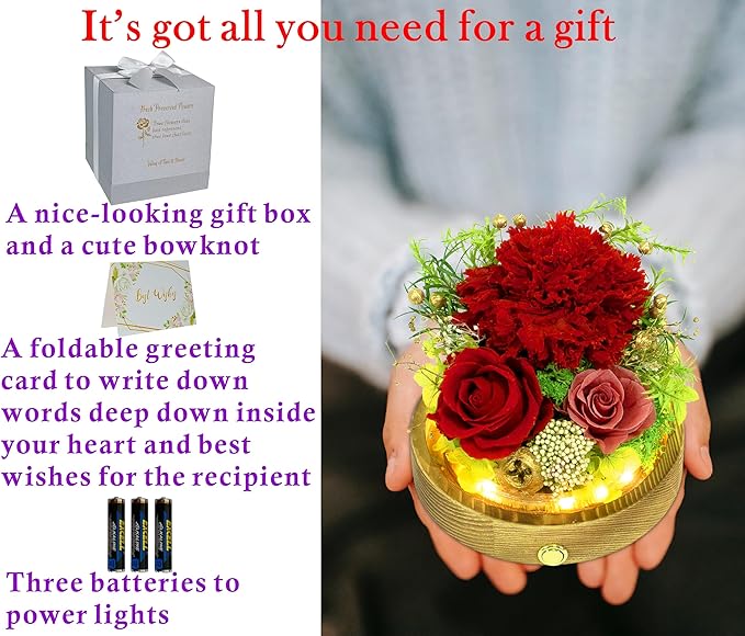 Valley of Rain & Forest Long-Lasting Real Flowers, Unique Floral Gift For you to send Love for All Occasions, for Indoor Decoration (Red Carnation Arrangement)