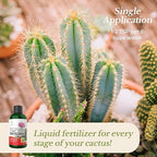 Professional Cactus Fertilizer Liquid 3-1-2 Concentrate 8 oz, Premium Liquid Plant Food for Indoor and Outdoor, Liquid Cactus Fertilizer Made in USA