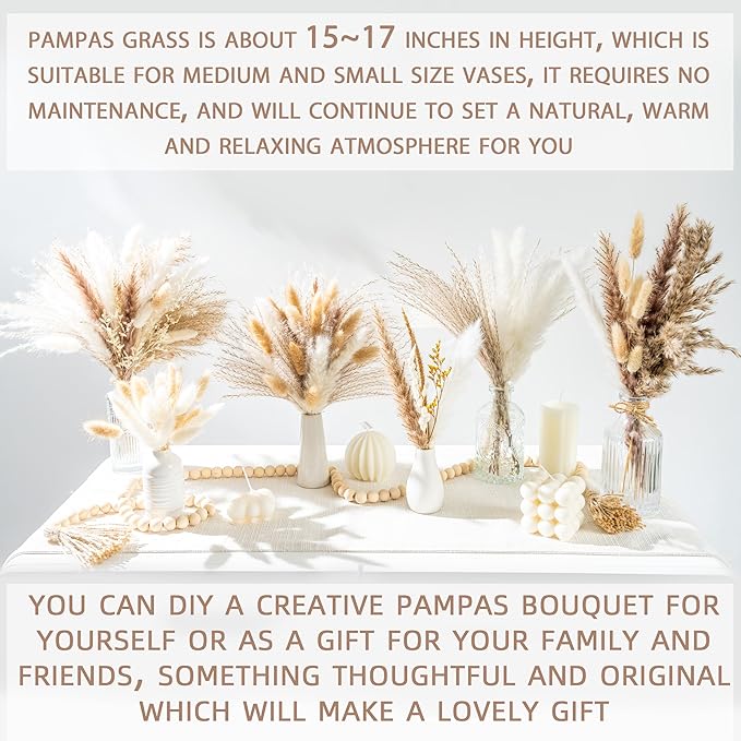 650PCS Natural Dried Pampas Grass Boho Home Decor Bouquet Phragmites Dried Flowers Bouquet for Wedding Floral Arrangements Home Decorations (650PCS)