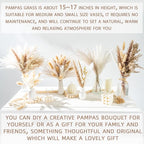 650PCS Natural Dried Pampas Grass Boho Home Decor Bouquet Phragmites Dried Flowers Bouquet for Wedding Floral Arrangements Home Decorations (650PCS)