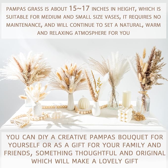 220PCS Natural Dried Pampas Grass Boho Home Decor Bouquet Phragmites Dried Flowers Bouquet for Wedding Floral Arrangements Home Decorations (220PCS)