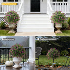 Bailikang 2PCS Artificial Rose Boxwood Topiary Ball Bush with Ground Spike Fake Evergreen Shrubs Bushes Plants UV Resistant Faux Greenery Shrubs, Fake Rose&Green Boxwood Plants for Garden, Yard, Porch