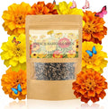 LUOJIBIE French Marigold Seeds for Planting Outdoors, Giant Marigold Flowers Seeds Bulk for 2026, Over 8,500+ Seeds Prolific Blooms, Ideal for Vibrant Pollinator Gardens