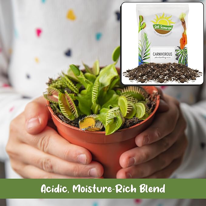 Soil Sunrise Carnivorous Plant Potting Soil Mix (2 Quarts) Ideal Additive for Venus Fly Traps, Sundews, and Pitcher Plants