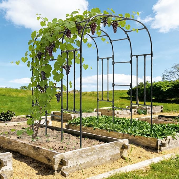 Garden Arch Trellis - 69"L*71"W*87"H, Rust-Proof Grape Trellis with Thickened Steel Pipe, Garden Arch Trellis for Climbing Plants Outdoor, Tunnel Trellis for Cucumber, pumpkin,Squash, Melon