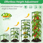 4 Pack Square Tomato Cages for Garden, 60 Inch Adjustable Tomato Stakes, Metal Tomato Trellis, Garden Plant Support for Potted Climbing Plants, Vegetables Flowers Fruits, Raised Garden Bed