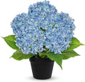 18" Hydrangea Artificial Flowers Plant in Black Plastic Pot, Fake Hydrangeas Plants for Home Office Indoor Outdoor Decor, Realistic Floral Centerpiece for Living Room & Porch Decorations, Blue