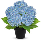 18" Hydrangea Artificial Flowers Plant in Black Plastic Pot, Fake Hydrangeas Plants for Home Office Indoor Outdoor Decor, Realistic Floral Centerpiece for Living Room & Porch Decorations, Blue