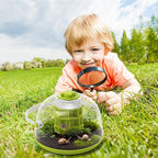 Snail Terrariums Breeding Box, Plastic Round Snail Habitat, Clear Feeding Box with Air Vents & Removable Base, Small Insect Feeding Bin for Beetles Spiders Ladybugs, Starter Terrarium Kit