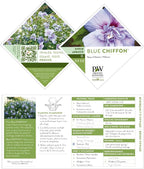 Proven Winners 2 Gal. Blue Chiffon Rose of Sharon (Hibiscus) Shrub