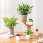 Veryhome 6Pcs Small Fake Plants - Mini Succulents Plants Artificial Greenery Potted Plant Indoor, Faux Rosemary Fern in Pots for Home Room Office Desk Table Shelf Bathroom Modern Farmhouse Decor