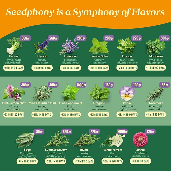 Seedphony 35 Medicinal & Tea Herb Seeds Variety Pack - 16,285+ Non-GMO Heirloom Herbs Seeds for Planting Indoor & Outdoor: Lavender, Rosemary, Echinacea, Mint, Catnip, Basil - Gardening Seed Packets