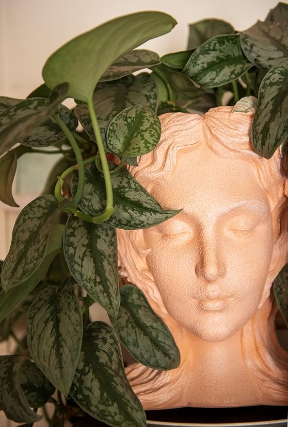 American Plant Exchange Silver Splash Pothos – Live 6-Inch Potted Satin Pothos Vine, Easy-Care Air Purifying Houseplant, Fast-Growing Indoor Plant for Home, Office & Modern Tropical Indoor Décor