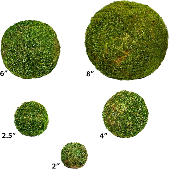 SuperMoss (21648) Moss Ball, Fresh Green, 4"